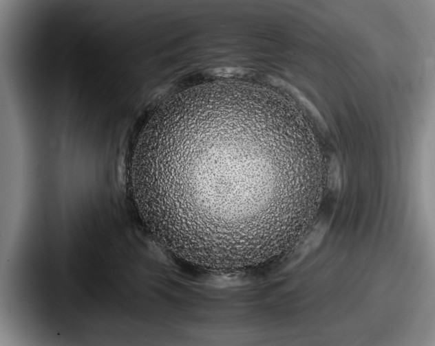 X0000087670569200705111200