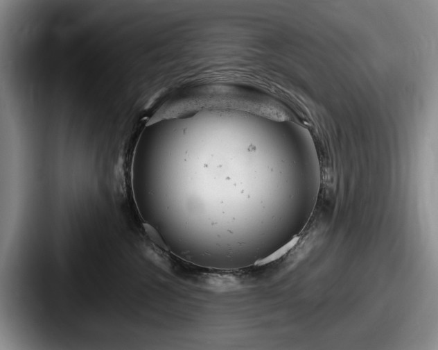 X0000087670572200705111200