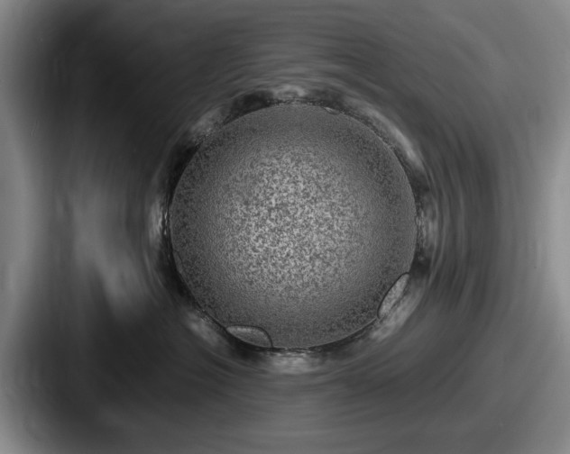 X0000087670574200705111200