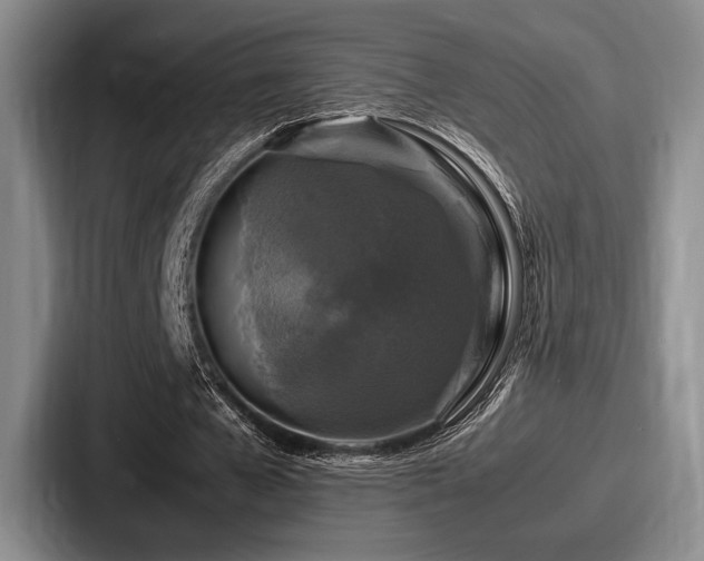 X0000087670577200705111159