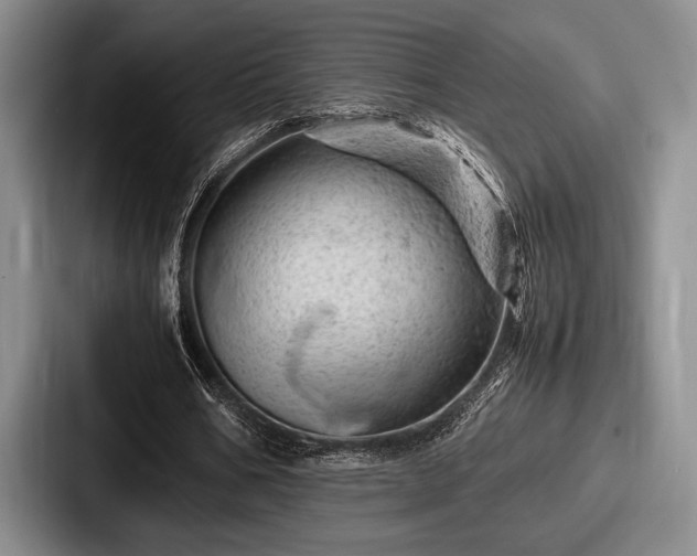 X0000087670578200705111159