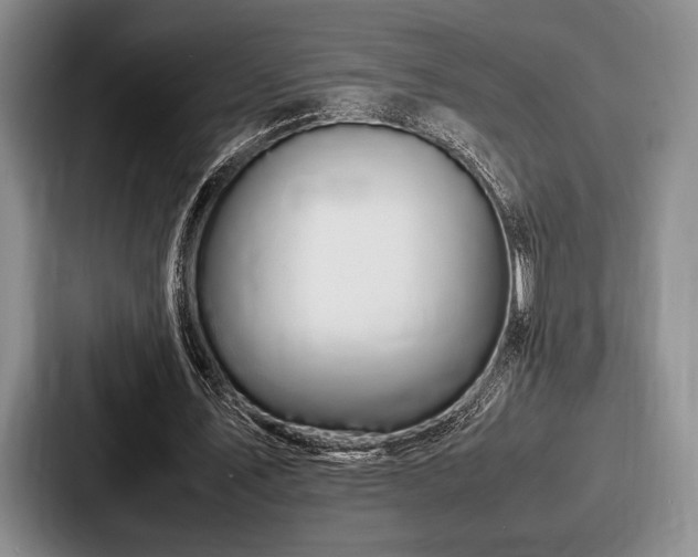 X0000087670579200705111159