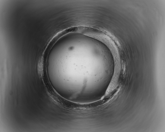 X0000087670580200705111159