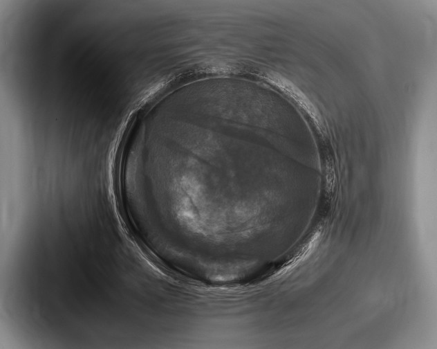 X0000087670581200705111159