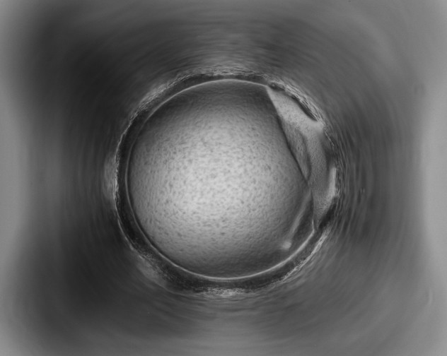 X0000087670582200705111159