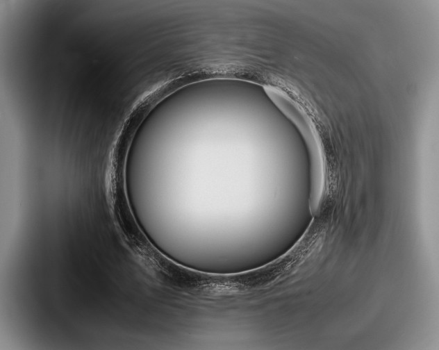 X0000087670583200705111159