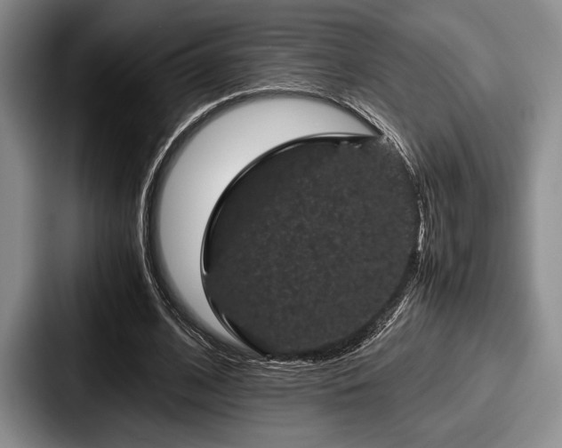 X0000087670584200705111159