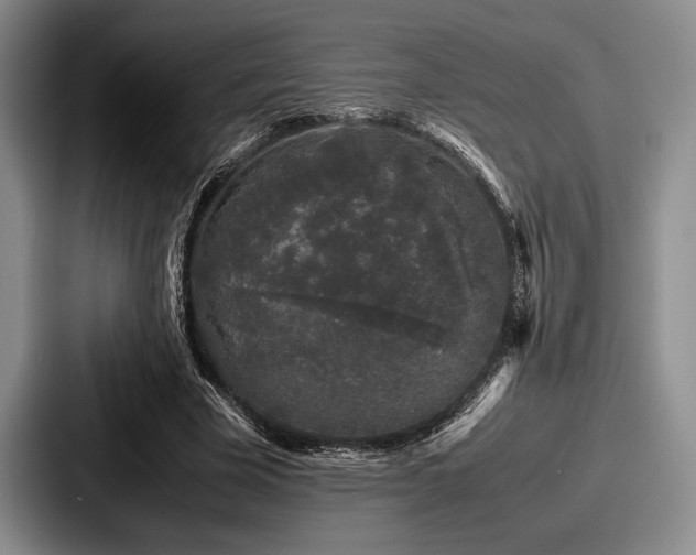 X0000087670585200705111159