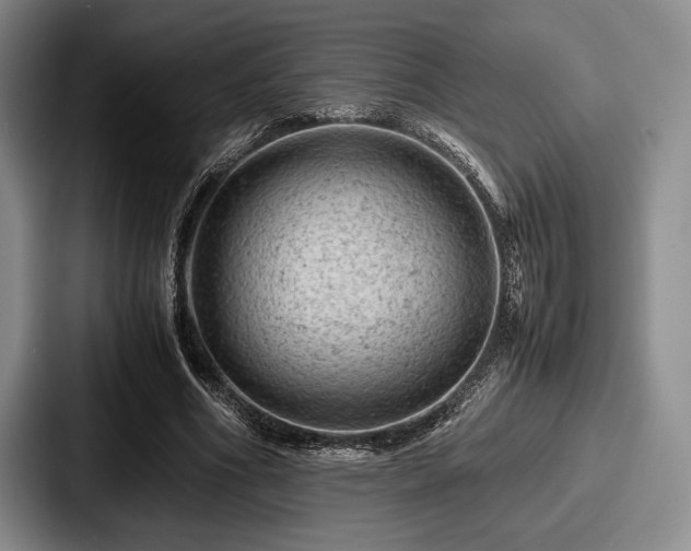 X0000087670586200705111159