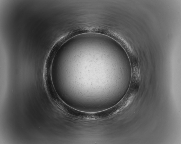 X0000087670587200705111159