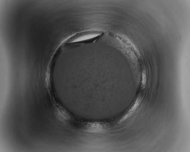 X0000087670588200705111159