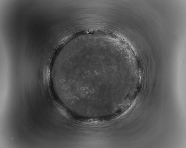 X0000087670589200705111159