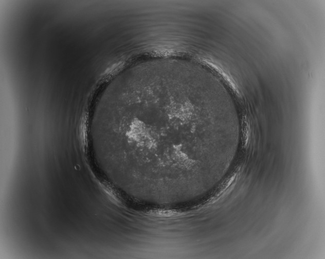 X0000087670590200705111159