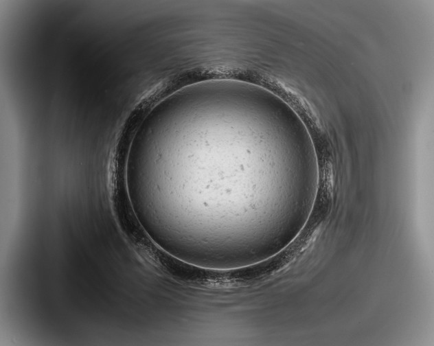 X0000087670591200705111159