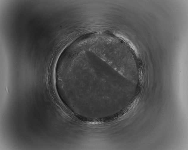 X0000087670593200705111159