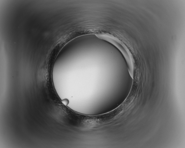 X0000087670595200705111159