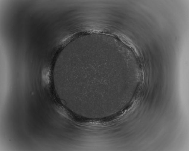 X0000087670596200705111159