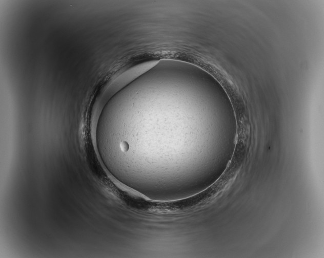 X0000087670597200705111159