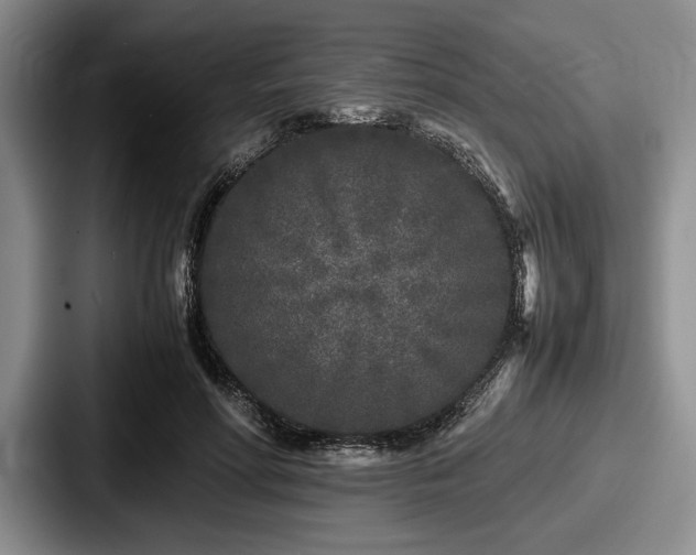 X0000087670598200705111159