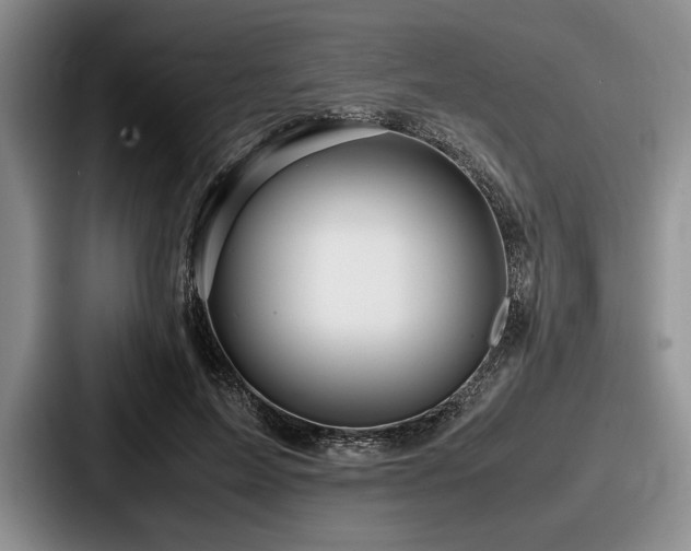 X0000087670599200705111159