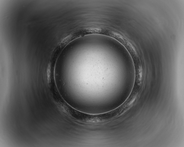 X0000087670600200705111159