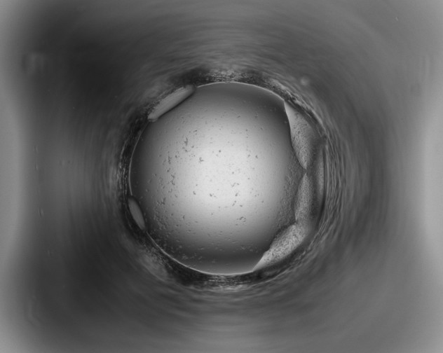 X0000087670601200705111159