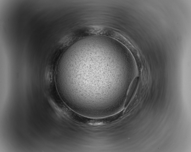 X0000087670602200705111159