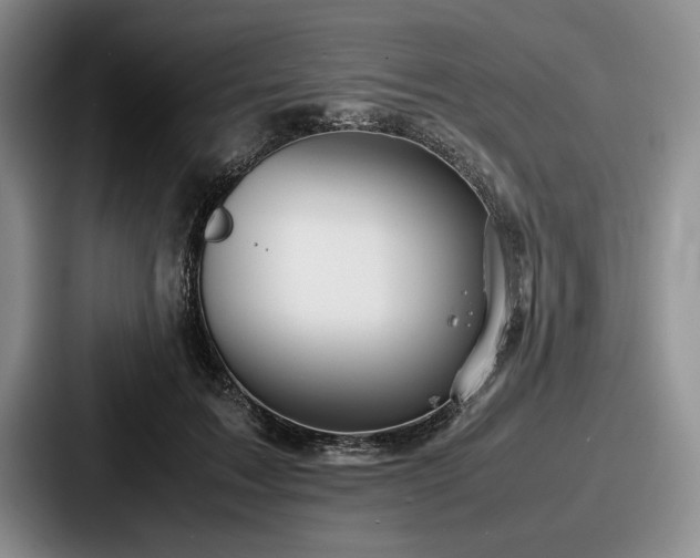 X0000087670603200705111159