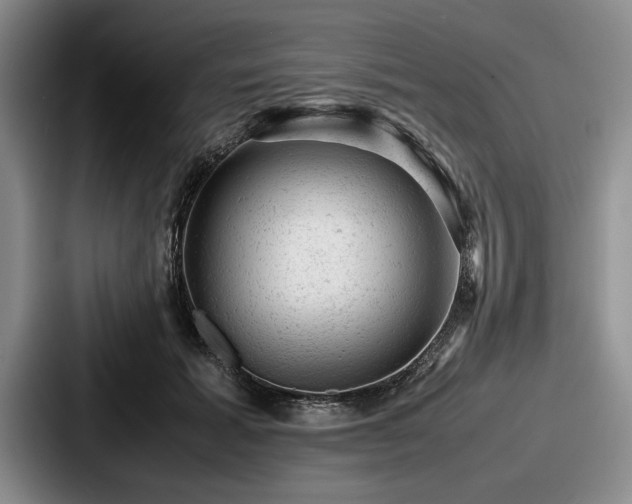 X0000087670605200705111159