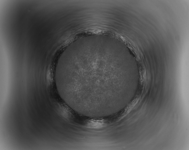 X0000087670606200705111159