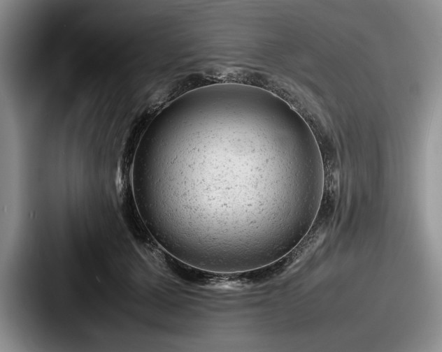 X0000087670607200705111159