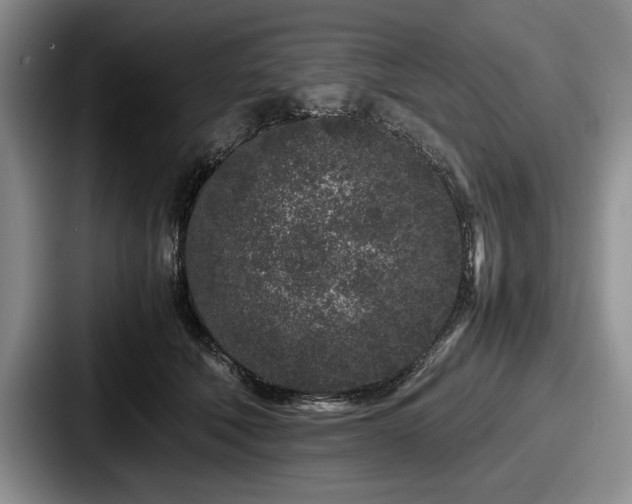 X0000087670610200705111159