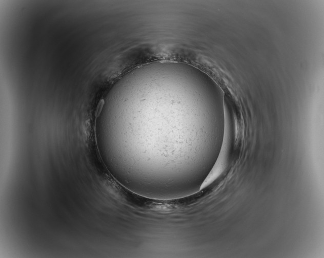 X0000087670611200705111159