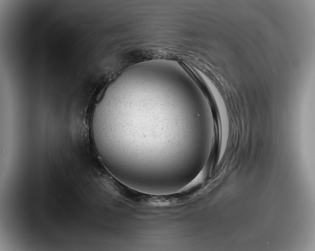 X0000087670613200705111159