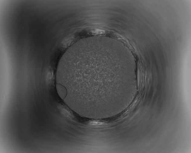 X0000087670614200705111159