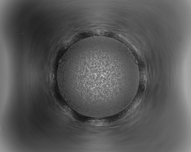 X0000087670615200705111159