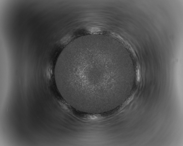 X0000087670618200705111159