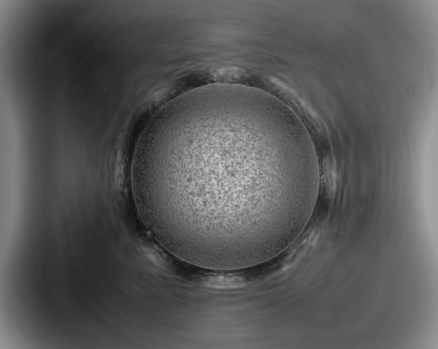 X0000087670619200705111159