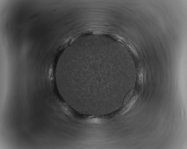 X0000087670620200705111159