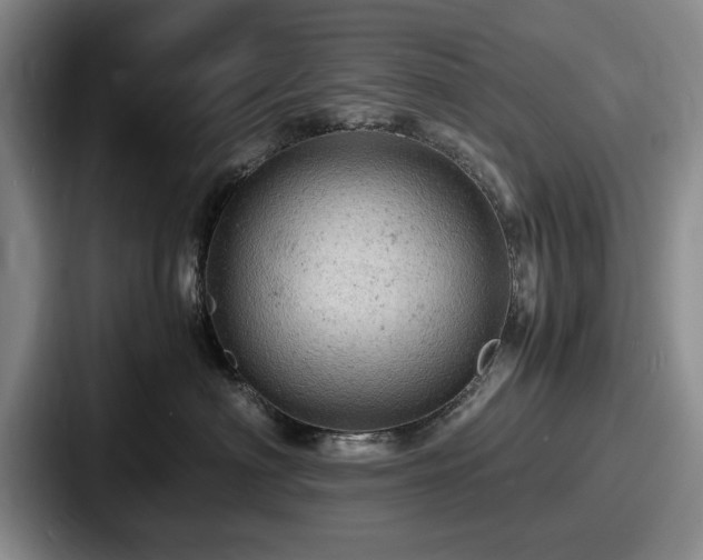 X0000087670622200705111159