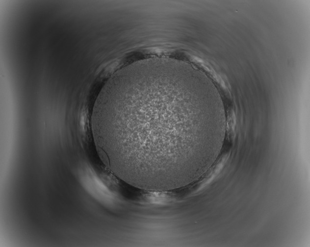 X0000087670623200705111159