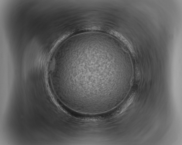 X0000087670625200705111158