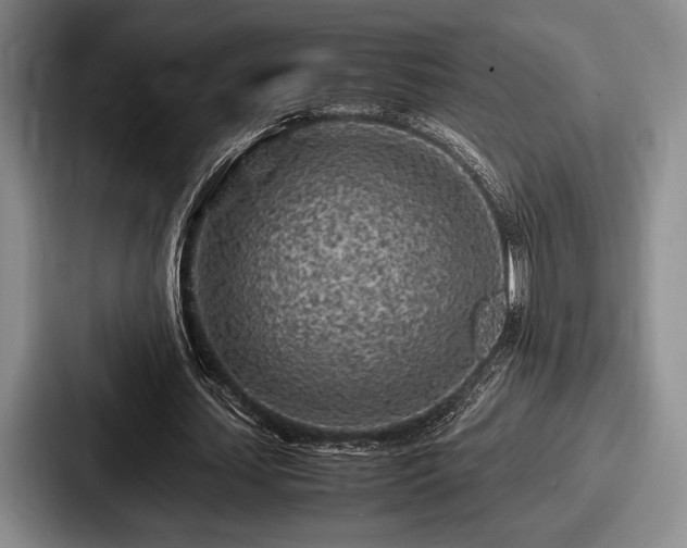 X0000087670627200705111158