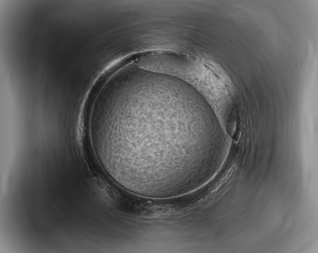 X0000087670628200705111158