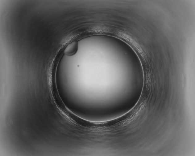 X0000087670629200705111158