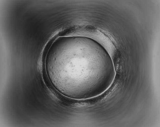 X0000087670630200705111158