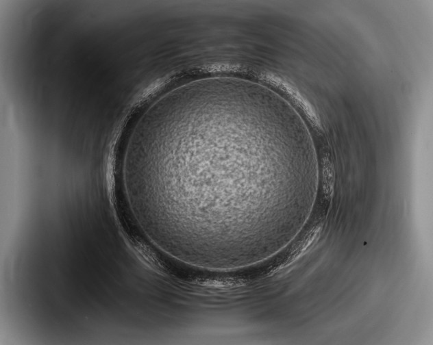 X0000087670631200705111158