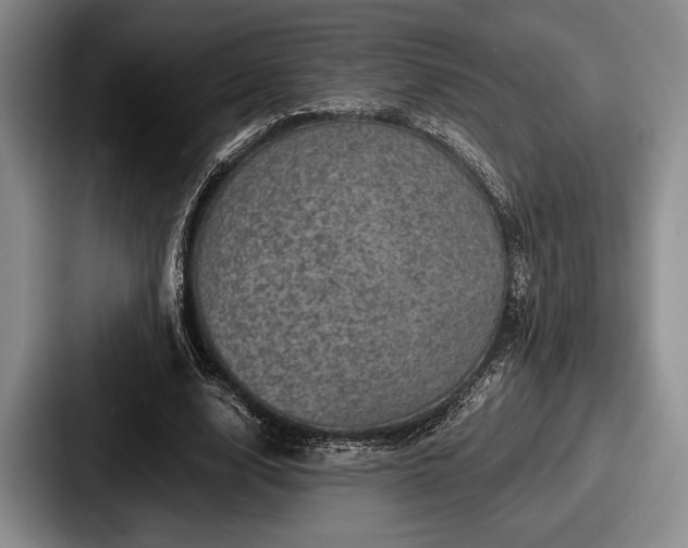 X0000087670632200705111158