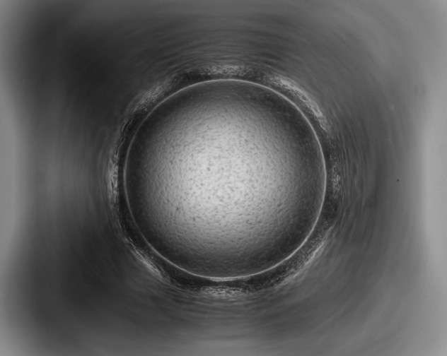 X0000087670633200705111158