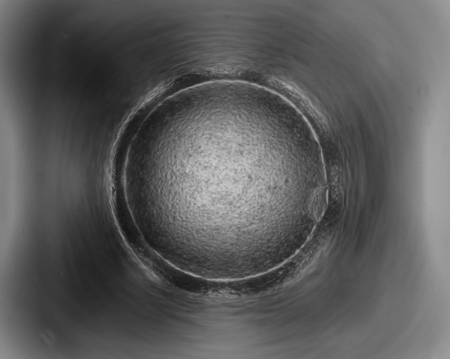 X0000087670634200705111158